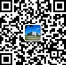 0311-87655515