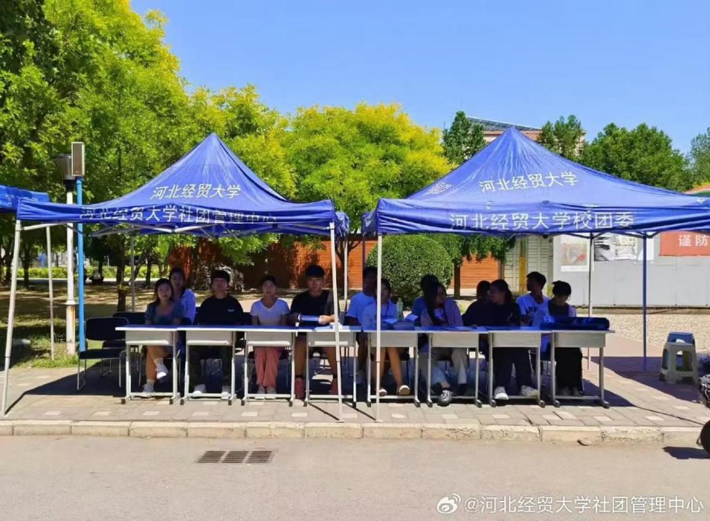 下设团总支为协调部门