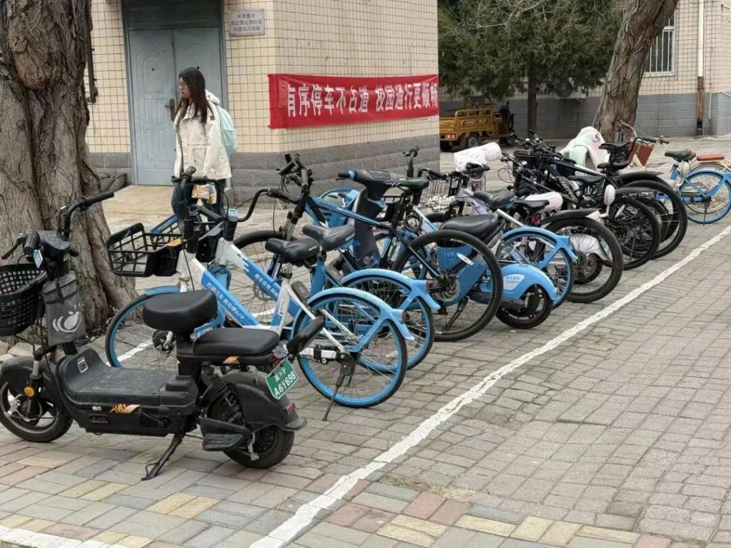 守护校园中传递温暖