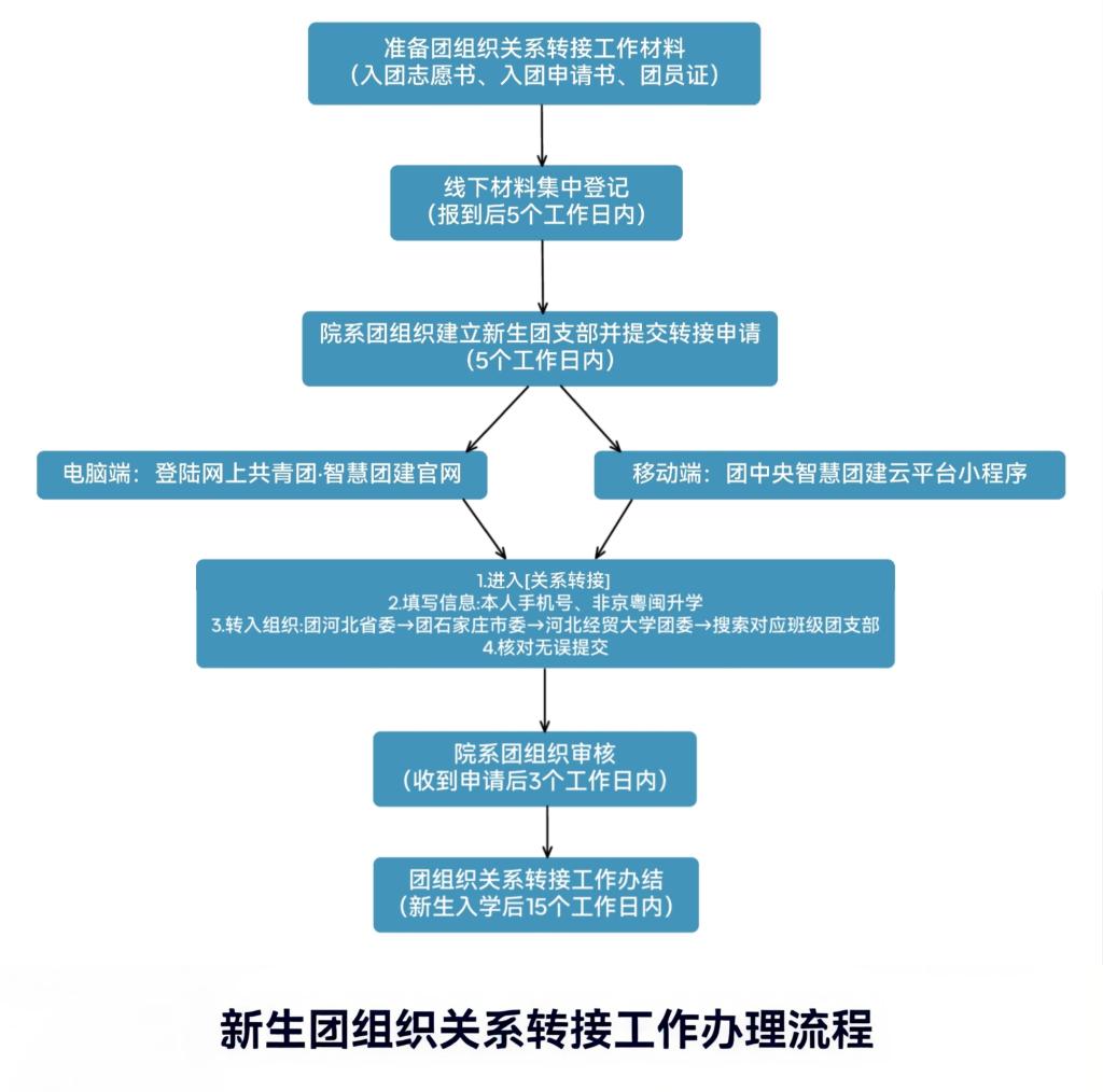 时限要求与操作指引