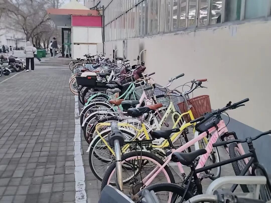 方寸之地见秩序,一停一放显文明
